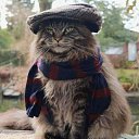 ���� ����, �����, 48 ��� - ��������� 30 ������� 2022 � ������ ���� ����������