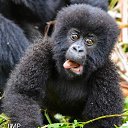 ���� ������, ��������, 58 ��� - ��������� 14 ������� 2022