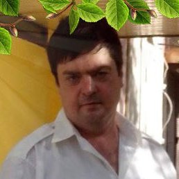 �����, �����������, 49 ���