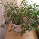 ���� ������, ������� ������, 60 ��� - ��������� 22 ������ 2022 � ������ ���� ����� � ��������