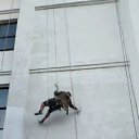 ���� �����, �����, 40 ��� - ��������� 25 ������� 2022 � ������ ���� ����������