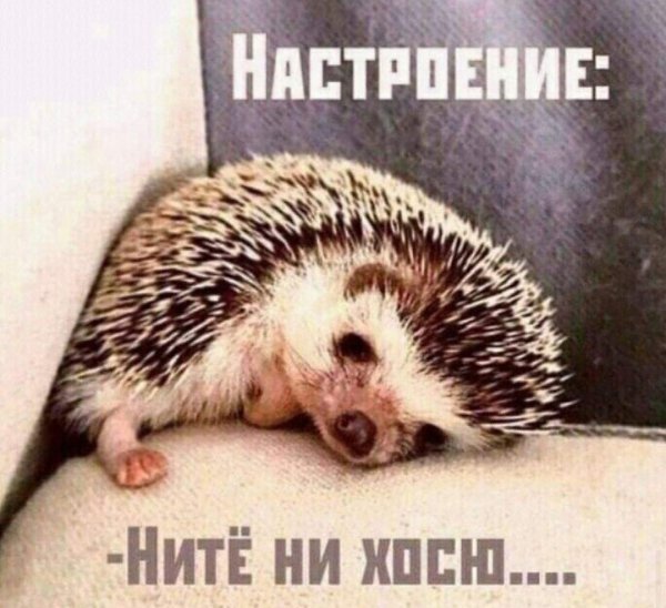 *T* - 1  2022  21:03