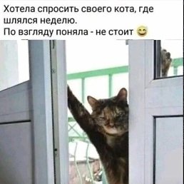 ���� ������, �����������, 53 ���� - ��������� 9 �������� 2022