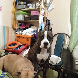 ���� ����������, ������, 50 ��� - ��������� 6 ������� 2022