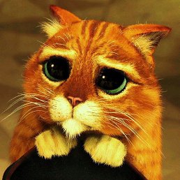 ���� ����, �����, 41 ��� - ��������� 5 ������ 2023