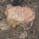  ***L***,   -  2  2022    Ż