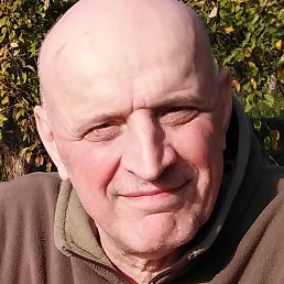 ������, �����-���������, 66 ���