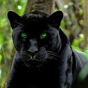 ���� ����, �����-���������, 54 ���� - ��������� 20 �������� 2022