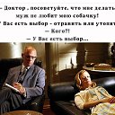 ���� �, ������, 61 ��� - ��������� 6 ������� 2023 � ������ ������ ��������
