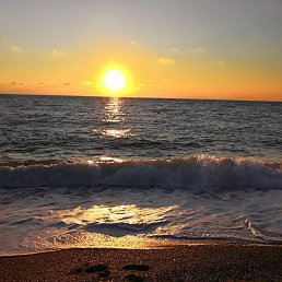 ���� �������, �������� - ��������� 15 ������� 2022