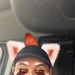 ��� �������, ������, 55 ���