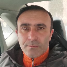 ����, �������, 46 ���