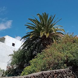 Andrey, ������, 60 ���