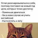 ���� ���, �������, 60 ��� - ��������� 22 ������� 2022 � ������ ������ ��������