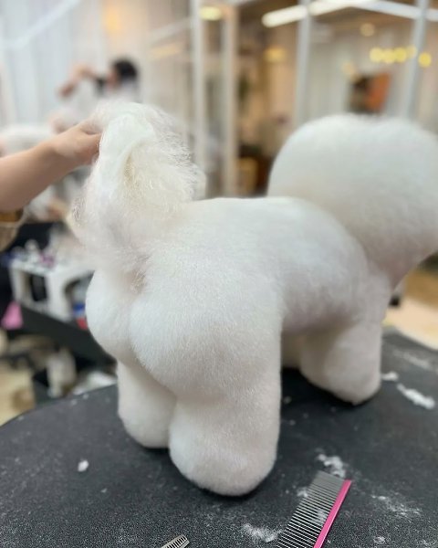 ���� � ������ *��� ����������, ��� � ���� - 2