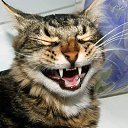 ���� �������, ������������ - ��������� 26 ������ 2022