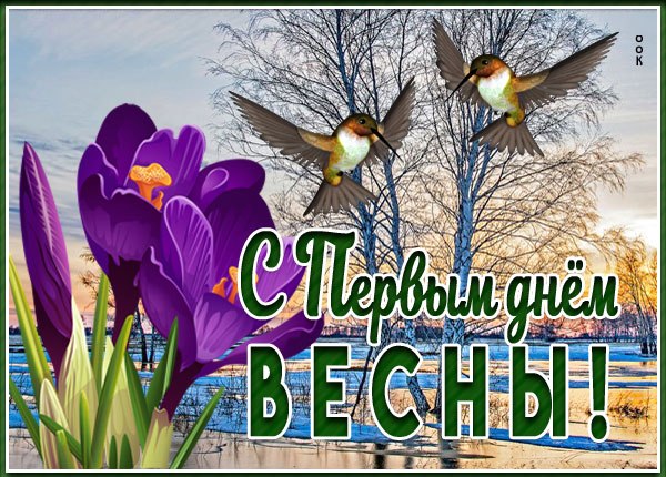 Ирина ******** - 1 марта 2022 в 09:27