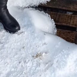 �������, ���������, 51 ���