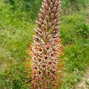  , , 54  -  11  2022   2022