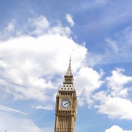 ����, �������, 36 ���