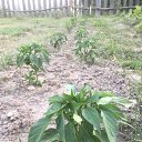 ���� ������, ������ - ��������� 23 ������� 2022 � ������ ������ ��������