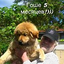 ���� ����, �����-��������� - ��������� 6 ������ 2022 � ������ ������ ��������