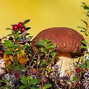 ���� G, ����, 41 ��� - ��������� 3 ������� 2022 � ������ ���� ����������