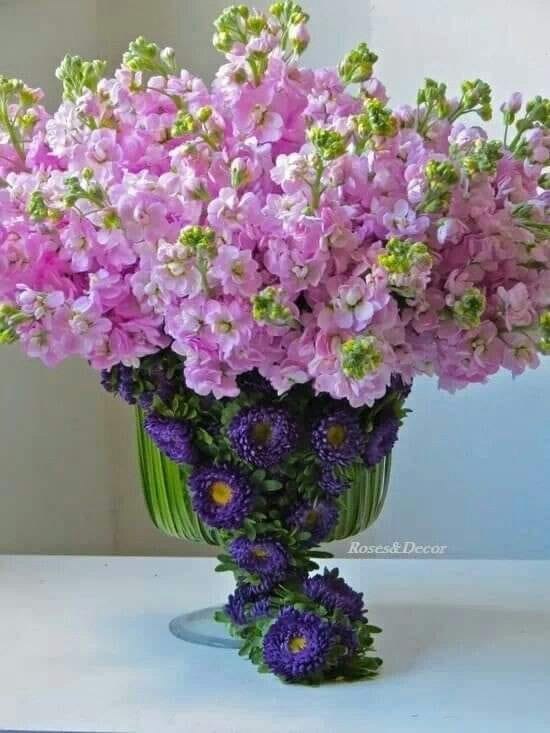 ������ ������� ��������.�������� ������ ������ ������� �������� � ����������.������ ����� ...