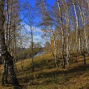 ���� ����, �����������, 61 ��� - ��������� 28 ����� 2022 � ������ ���� ����������