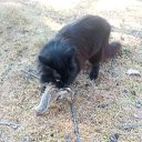 ���� Sergey, ������, 67 ��� - ��������� 25 ������ 2023 � ������ ���� ����������