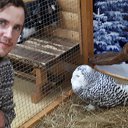  Angel, , 39  -  11  2022    