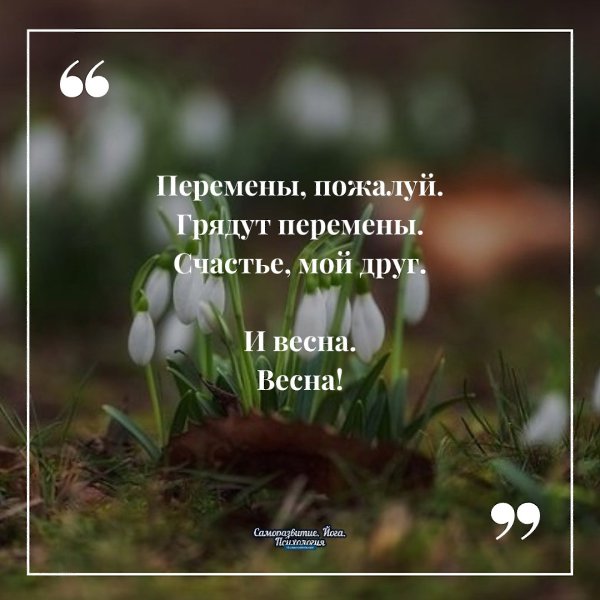 ���� - 24 ������� 2022 � 09:33