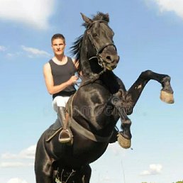 ����, ������, 41 ���