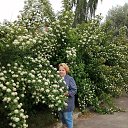 ���� �������, ������, 45 ��� - ��������� 9 ���� 2022 � ������ ���� ����������