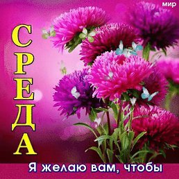 ���� �����, ������ - ��������� 31 ������� 2022