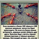 ���� ������, ������, 62 ���� - ��������� 1 ����� 2022 � ������ ������ ��������