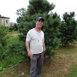 ���, ������, 66 ���