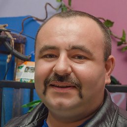 �����, ������������, 46 ���