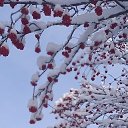 ���� �������, ����������� - ��������� 9 ������ 2023 � ������ ���� ����������
