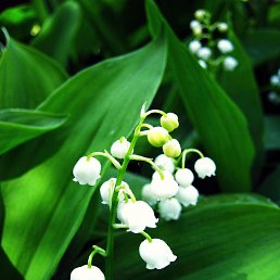 ���� ����, �������, 48 ��� - ��������� 31 ��� 2022