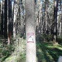 ���� ������, ������, 39 ��� - ��������� 20 ����� 2022 � ������ �������� ��������