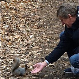 ���� ������, ������, 61 ��� - ��������� 22 ������ 2022