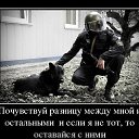 ���� ����, ����������, 43 ���� - ��������� 1 ������ 2023 � ������ ���� ����������