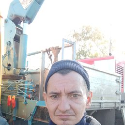 ���� �����, ������������, 42 ���� - ��������� 18 ������ 2022