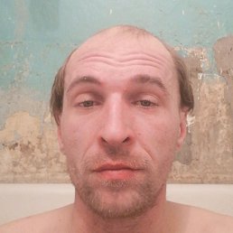 ������, ����, 41 ���