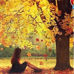 ���, ����-���, 40 ���