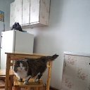 ���� ����, ����, 52 ���� - ��������� 8 ������� 2022 � ������ ���� ����������