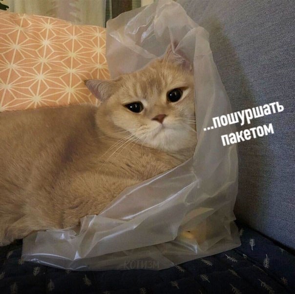  ... - 6