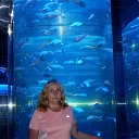  , , 56  -  29  2022   - 2022