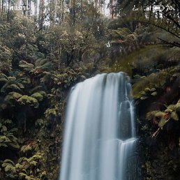 Ը���, ���������, 48 ���